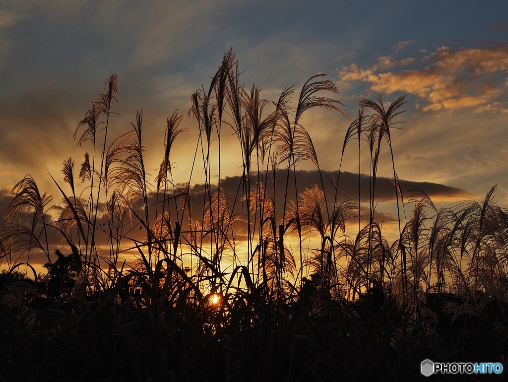 夕暮れ時は寂しそう♪