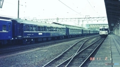 大きい車体
