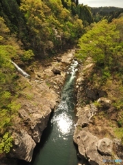 新緑と川