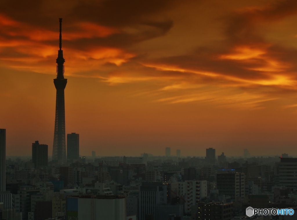 東京ラプソディーⅡ
