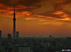東京ラプソディーⅡ