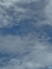 秋の空のくも