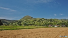 田舎の風景（新緑）