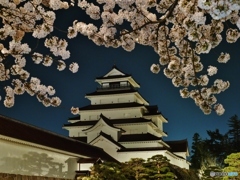 満開の鶴ヶ城