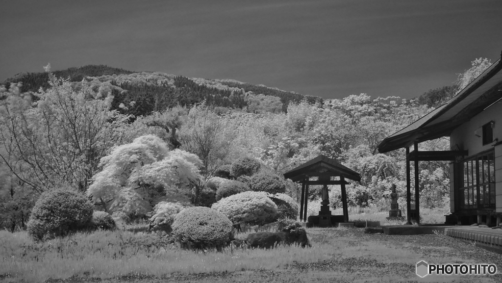 萌えるお寺