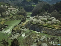 ♫見晴らし台から♪