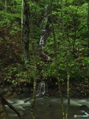 知らなかった滝