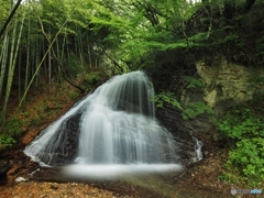 用水路の滝（初夏）