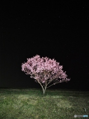 水をかけて・・・