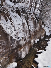 連なるつらら❄️