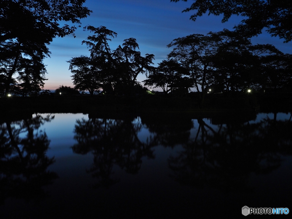 夜の公園