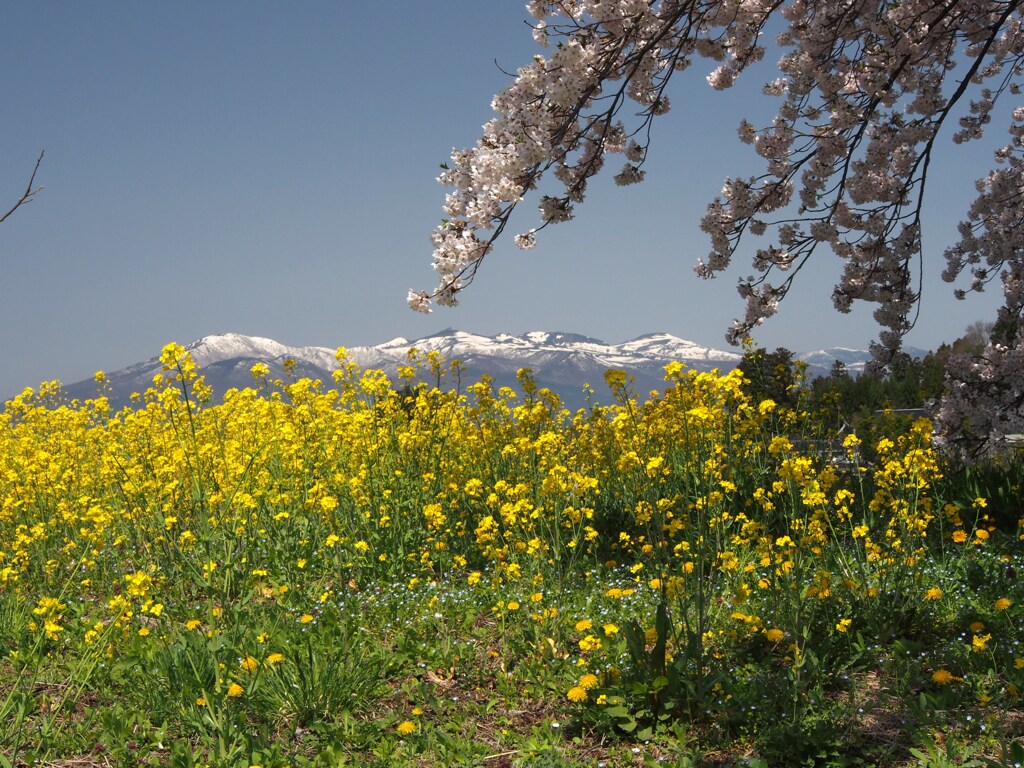 あたたかい休日