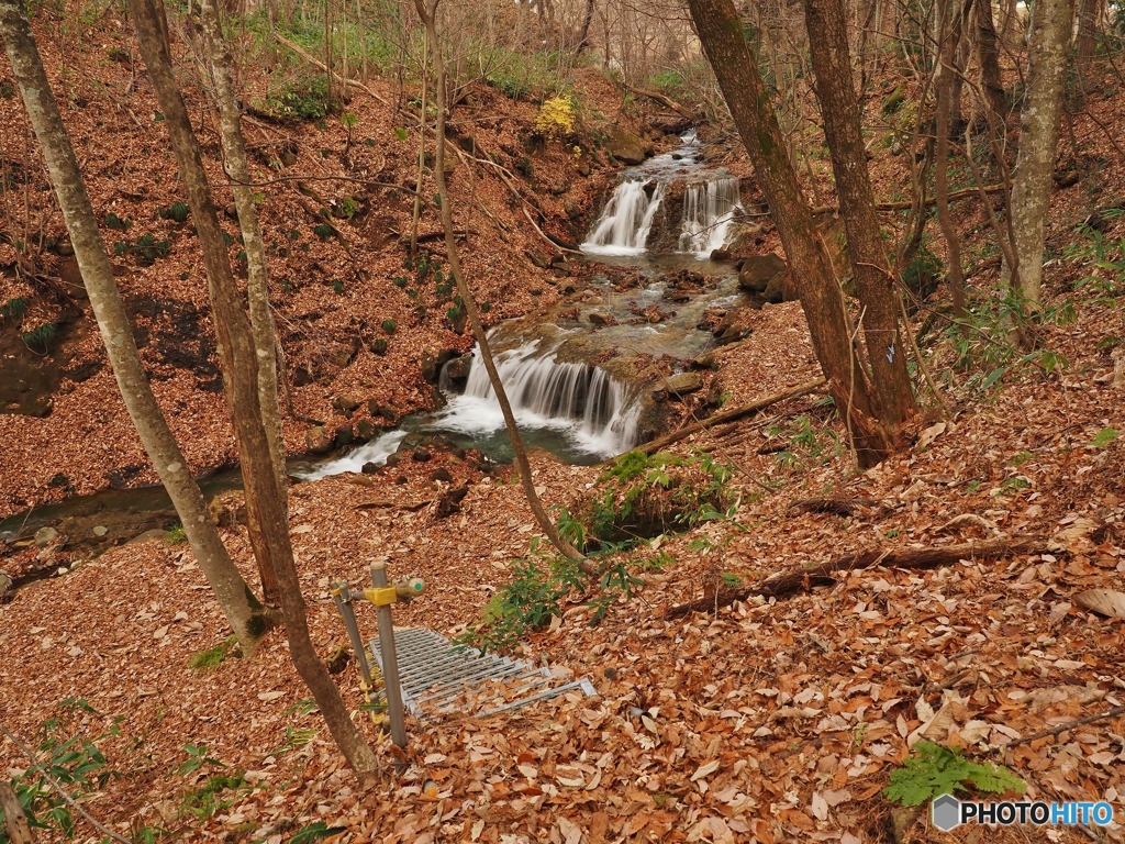 落葉の滝