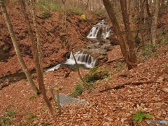 落葉の滝