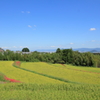 棚田