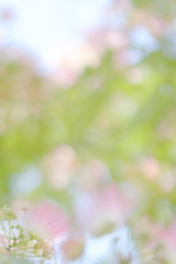 ネムの夢 *