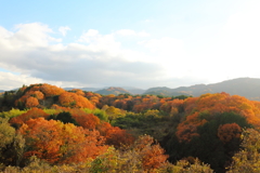 近所の風景