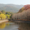 奈良　荒池