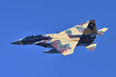 2025AGGRESSOR_92-8095_05