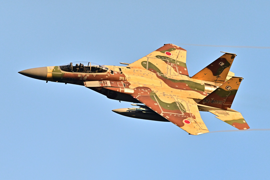 2025AGGRESSOR_92-8095_29