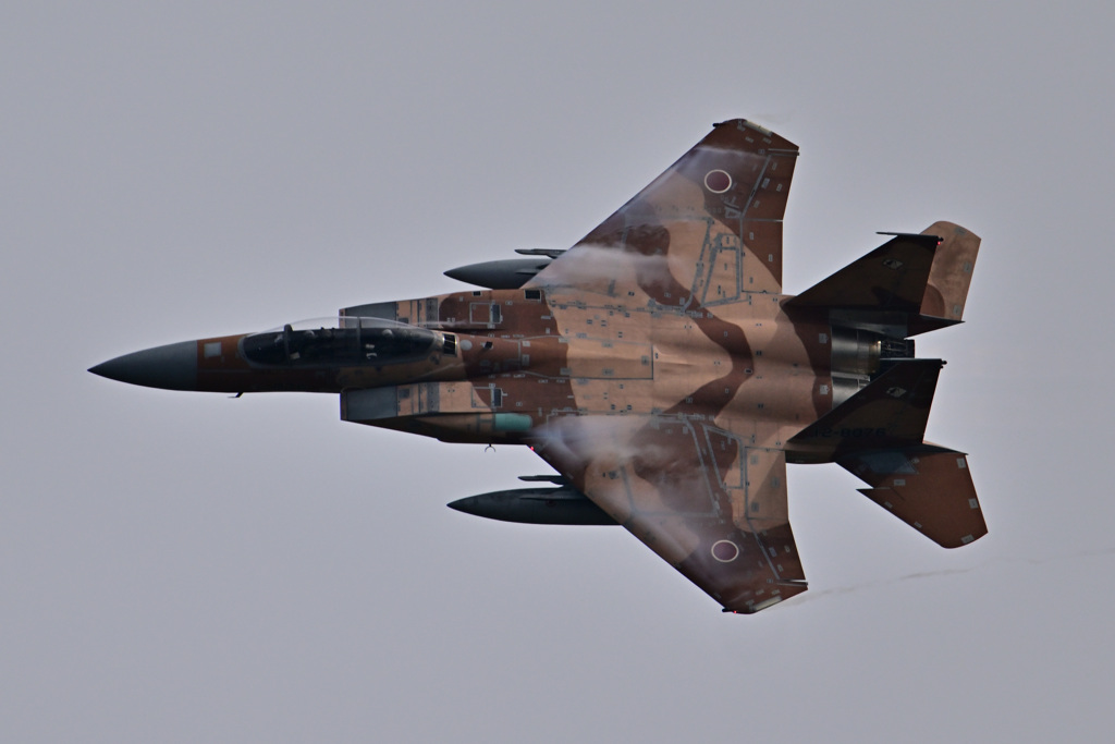 2022小松基地航空祭_Aggressor_12-8076_04