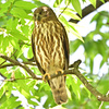2024_今年のズクさん_07