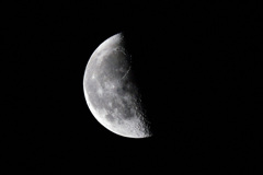 昨夜の月、有明月。