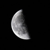 昨夜の月、有明月。