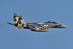 2025AGGRESSOR_12-8074_08
