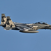 2025AGGRESSOR_12-8074_08