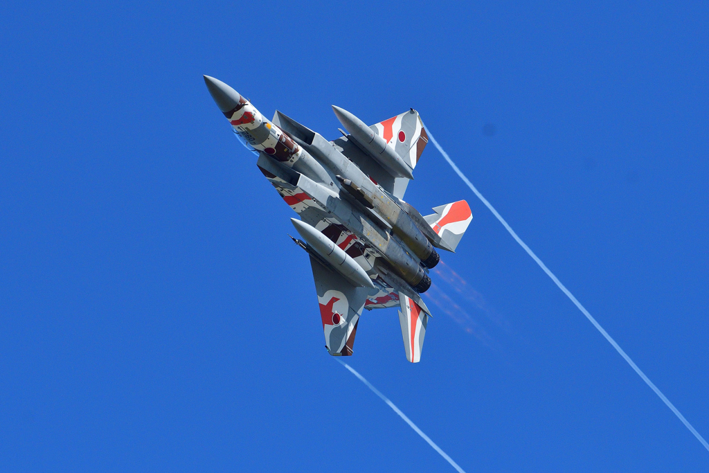 航空祭機動飛行・予行～アグレッサー＃８０８３機～（２）