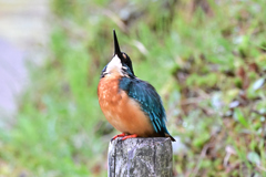 2025-2026翡翠散策_23