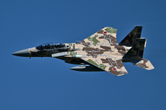 2025AGGRESSOR_32-8084_13