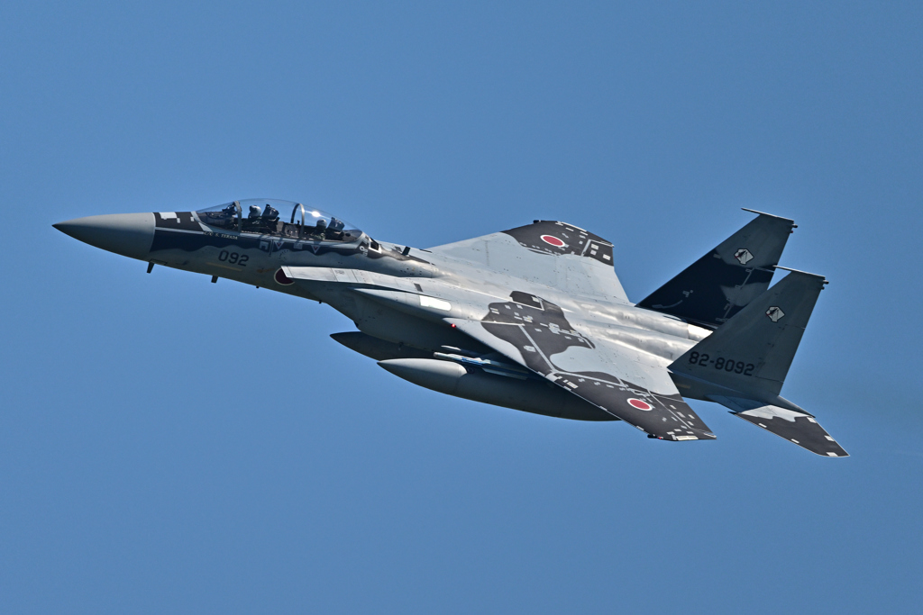 米軍主催訓練”レゾリュート・フォース・パシフィック_27