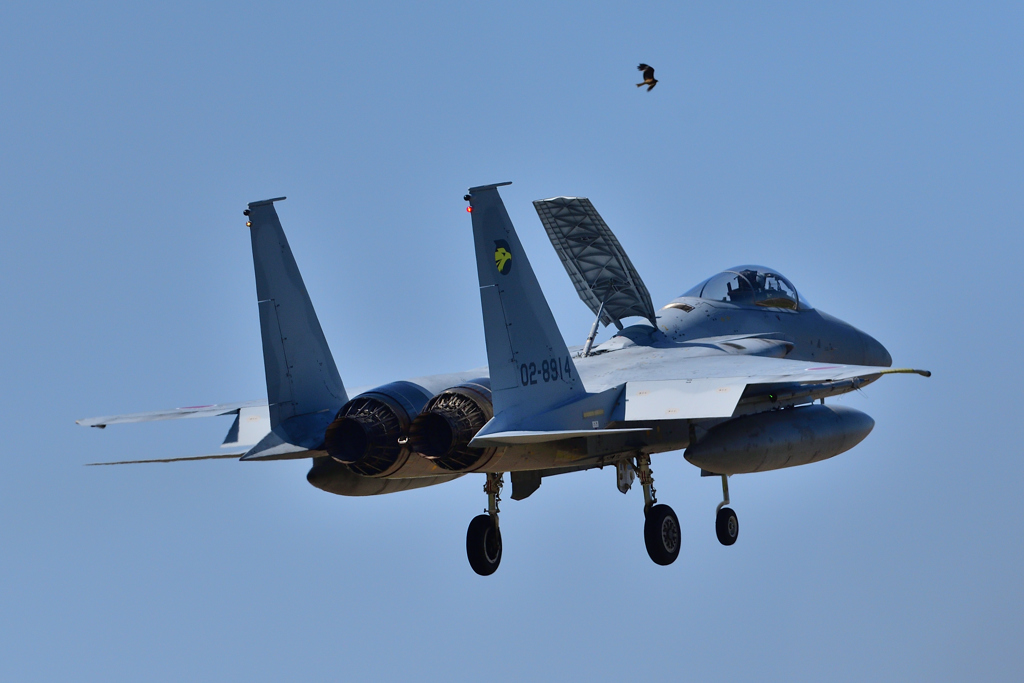 視点を変えて～３０６ｓｑ機～①