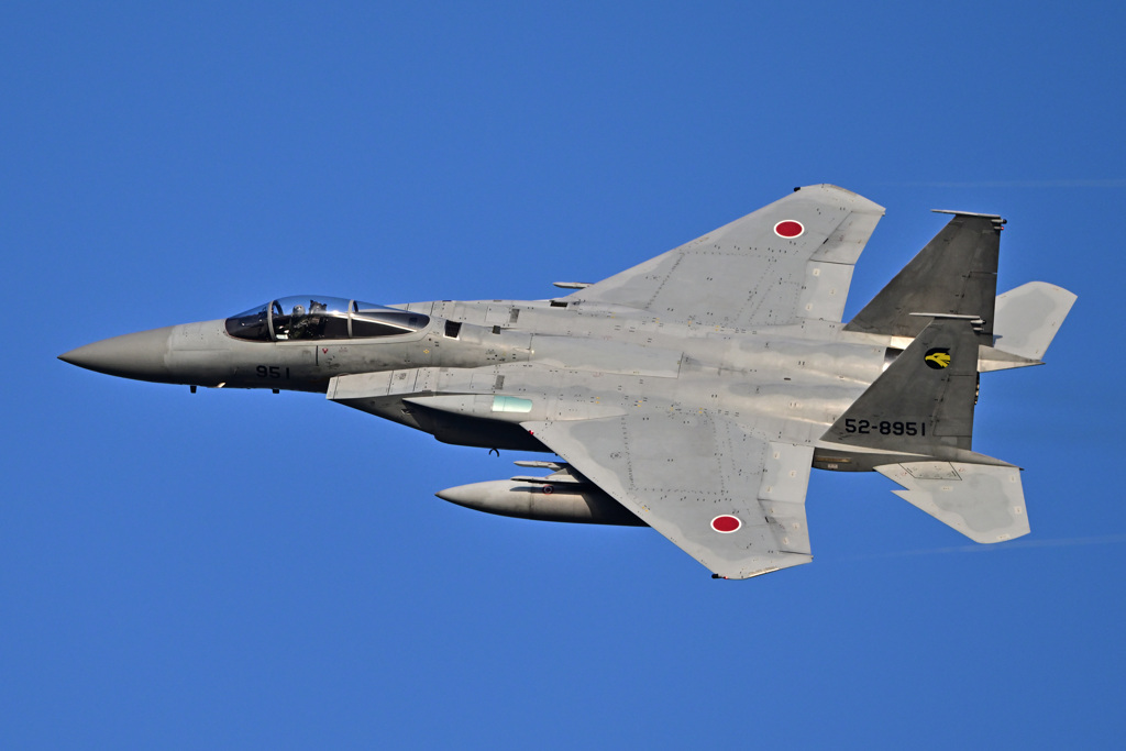 2023ゴールデンイーグル_F-15_09