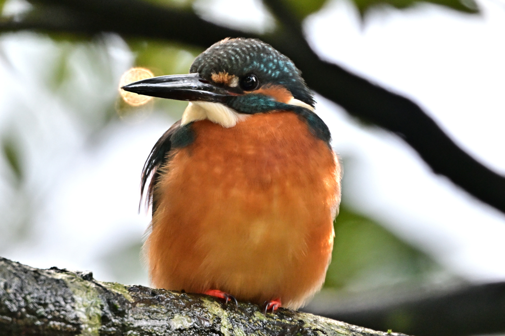 2025-2026翡翠散策_73