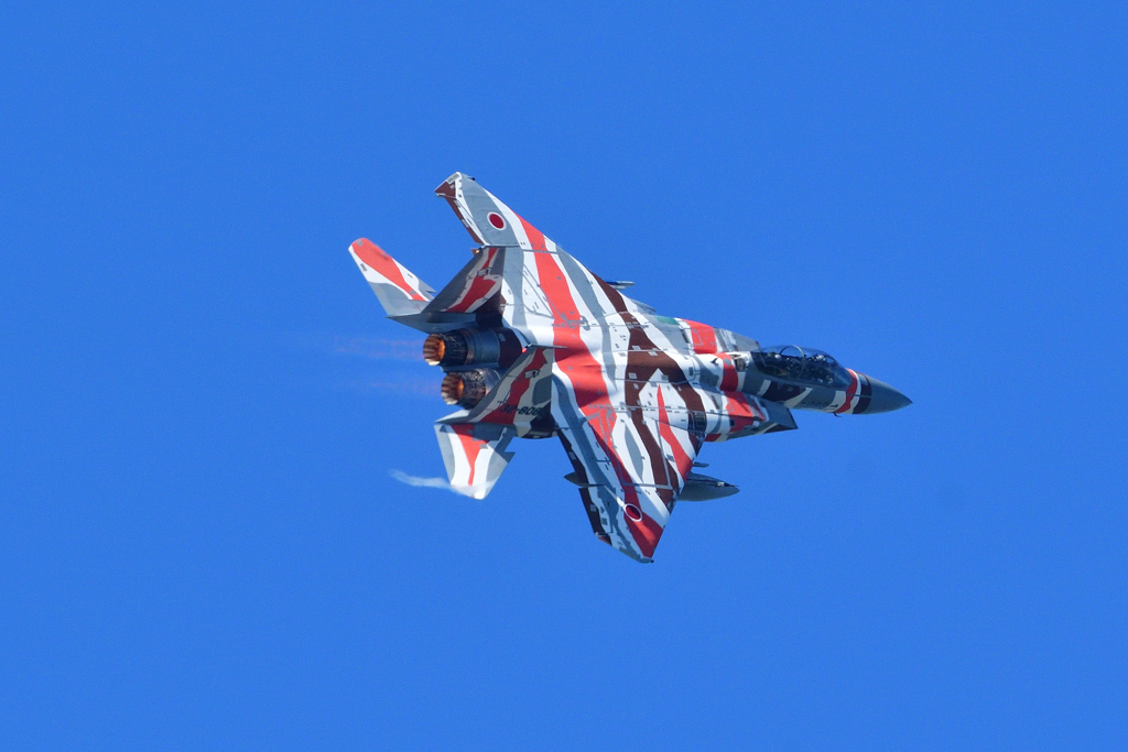 航空祭機動飛行・予行～アグレッサー＃８０８３機～（６）