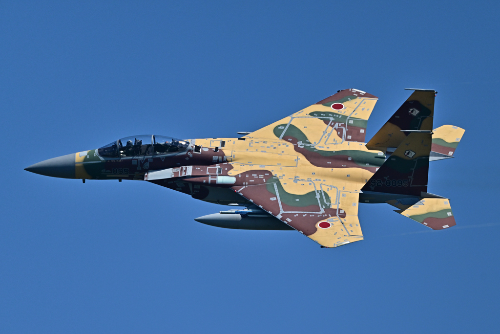 米軍主催訓練”レゾリュート・フォース・パシフィック_32