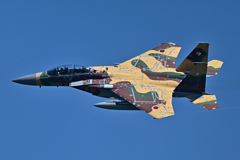 米軍主催訓練”レゾリュート・フォース・パシフィック_32
