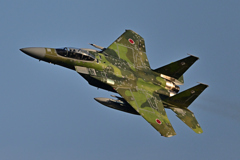 2025AGGRESSOR_92-8070_13