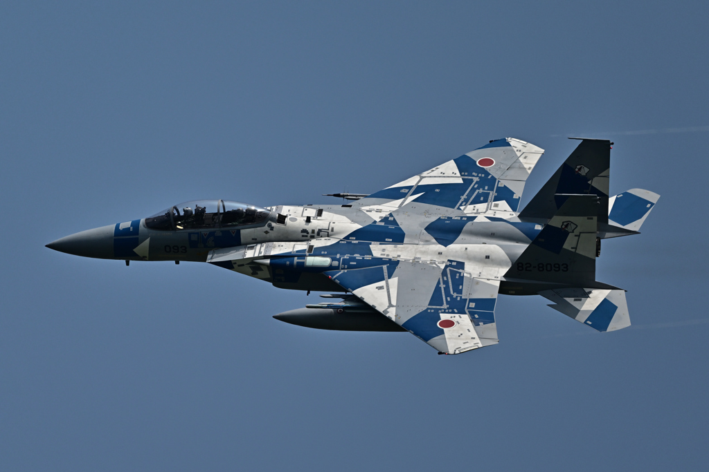 2025AGGRESSOR_82-8093_15