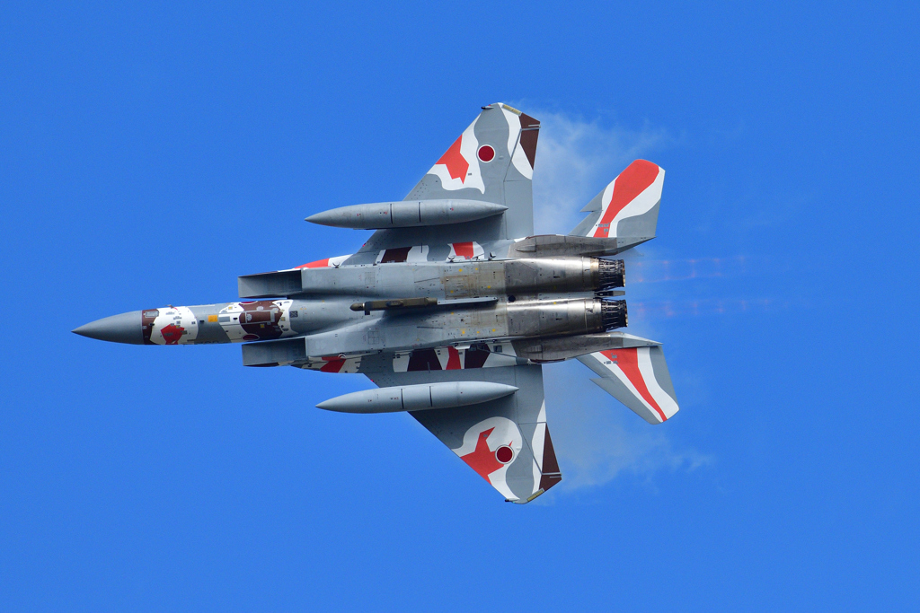 アグレッサー機動飛行～爽快～⑦