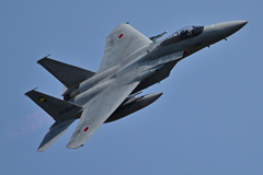 306SQ in KOMATSU F-15_08