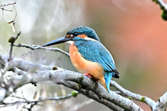 2025-2026翡翠散策_54