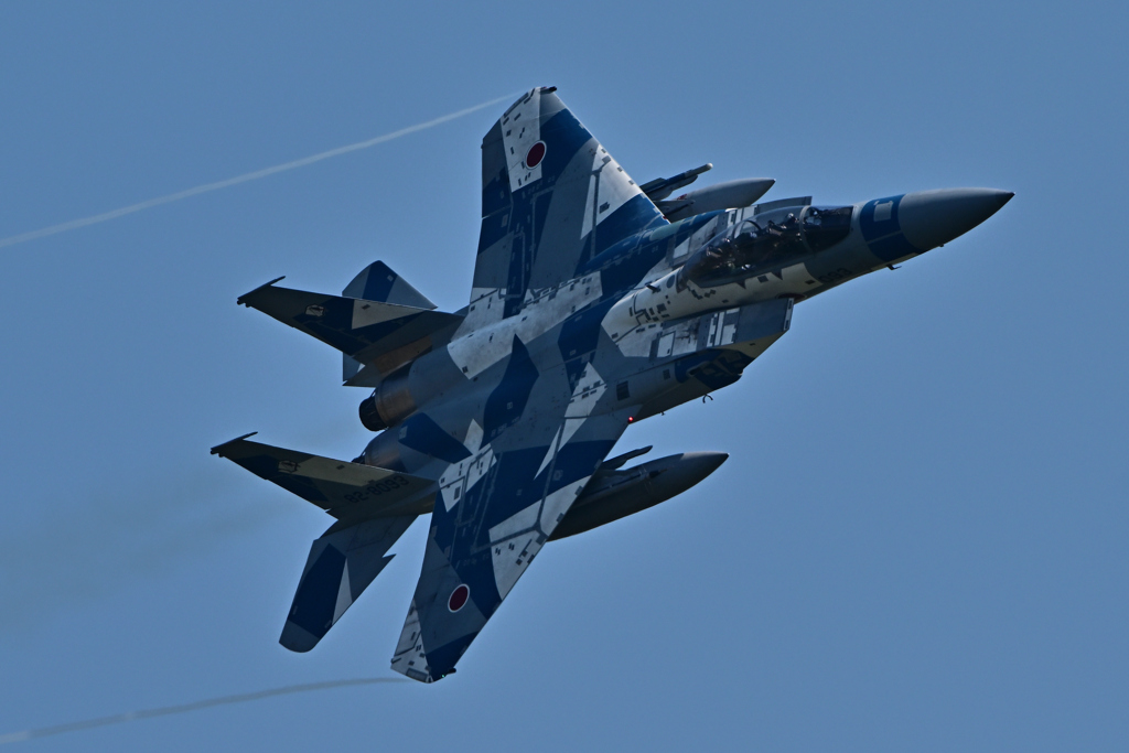 2025AGGRESSOR_82-8093_23