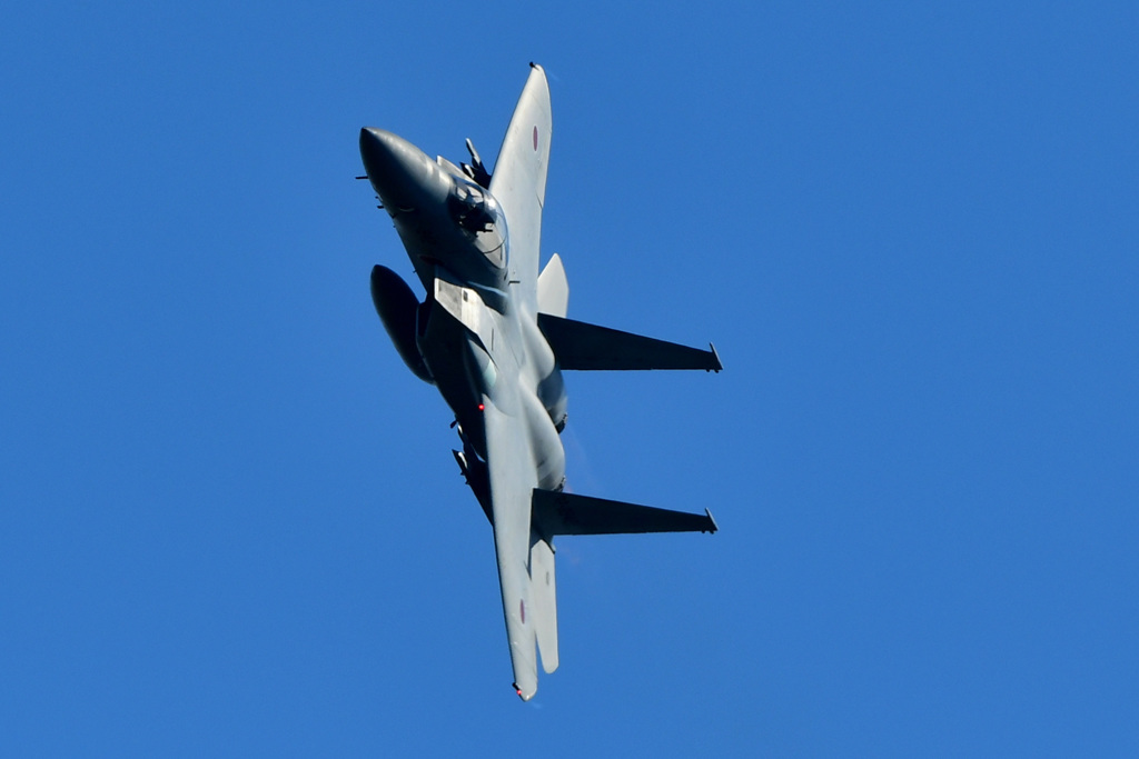 岐阜基地航空祭２０１８～機動飛行～①
