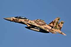 2025AGGRESSOR_32-8084_15