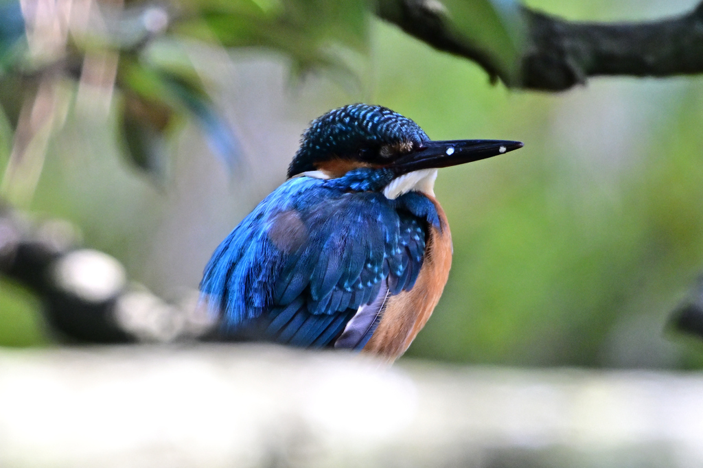 2025-2026翡翠散策_110