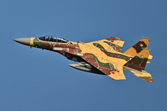 2025AGGRESSOR_92-8095_11